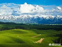 新疆广汇转会期状态回暖，志在CBA常规赛名次提升，更衣室稳定，高层口径保持一致的简单介绍