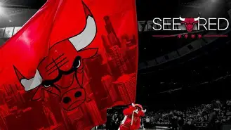 爱游戏APP-卡佩拉回归休斯顿